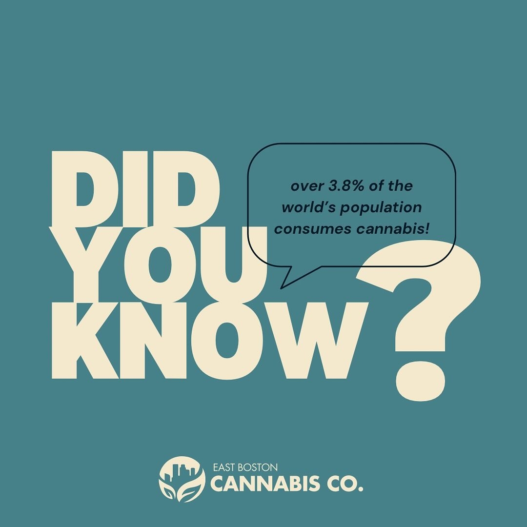 𝘿𝙞𝙙 𝙮𝙤𝙪 𝙠𝙣𝙤𝙬?
According to the UN, about 158.8 𝘮𝘪𝘭𝘭𝘪𝘰𝘯 people around the world use cannabis for its varying purposes! That's a lot of weed!