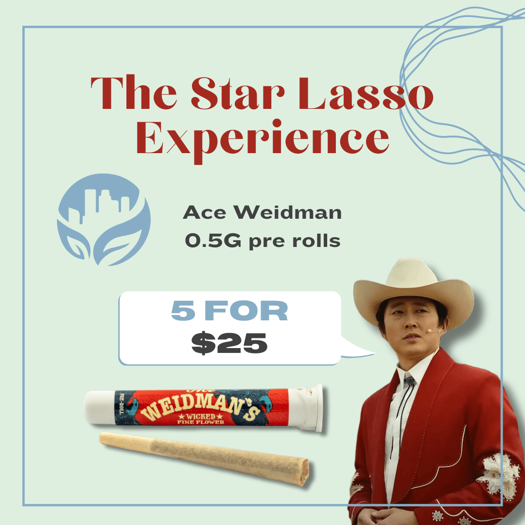 The Star Lasso Experience web